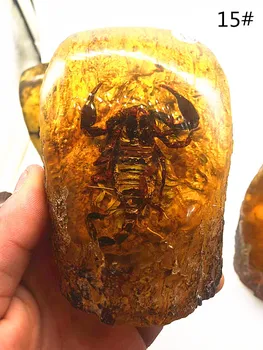 Amber balmumu taş böcek Po süsler gerçekten akrep örnekleri el sanatları oturma odası süsler toptan
