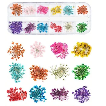 1 Kutu 3D Kurutulmuş Çiçek Tırnak Dekorasyon Doğal Çiçek Sticker Karışık Kuru Çiçek DIY Nail Art Çıkartmaları Takı UV Jel Lehçe Manikür