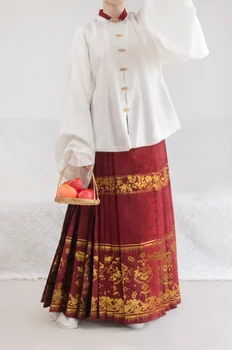 Ming Hanedanı Hanfu At Yüz Etek Altın İplik 4.5 m Pleats Etek Yeşil Kırmızı Kadın Çin Geleneksel Hanfu Pleats Etek Artı Boyutu