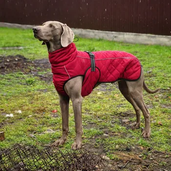 Toptan Köpek Giyim Ceket Köpek Kış Köpek Giysileri Kalın Kırmızı Evcil Hayvan Giysileri Golden Retriever Büyük Köpek Ceket Siyah Köpek Ceket